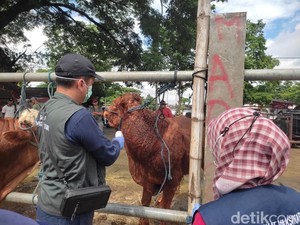 DKPP Sidak Pasar Hewan Dimoro Kota Blitar Antisipasi PMK
