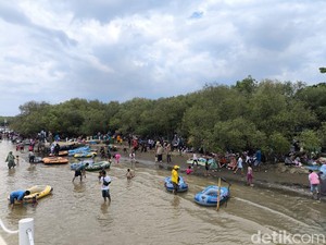 Menikmati Suasana Dermaga Rindu Taman Mangrove Pantai Kejawanan