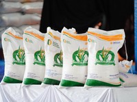 Resmi! Bantuan Beras 10 Kg Tahun 2025 Berlaku 6 Bulan, Jadwalnya Acak