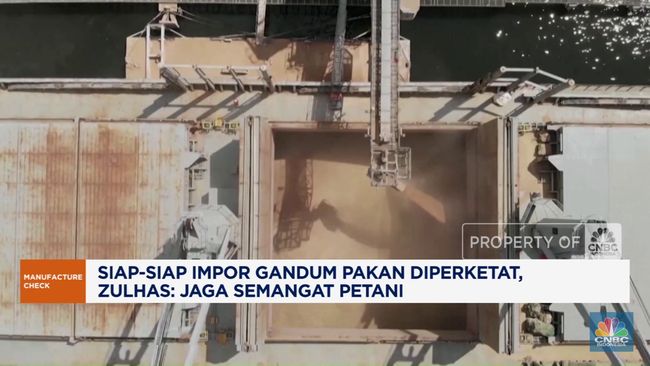 Video : Impor Gandum Pakan Bakal Diperketat, Jaga Semangat Petani