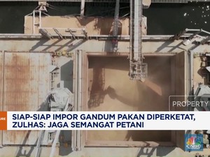 Video : Impor Gandum Pakan Bakal Diperketat, Jaga Semangat Petani