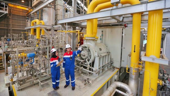 Pendapatan Subholding Gas Pertamina Tembus US$ 3,8 Miliar di 2024