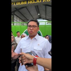 200 Ribu Ekor Sapi Brasil Mau Serbu RI, Begini Penjelasan Wamentan