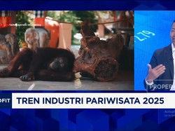 Video: Wisata Alam Jadi Tren 2025, Taman Rekreasi Punya "Kejutan" Baru