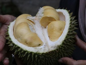 Vietnam Raja Durian, Kalahkan Indonesia dengan Nilai Ekspor Fantastis