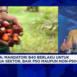 Pemerintah Minta Badan Usaha Penyedia Biodiesel B40 Persiapkan Hal Ini