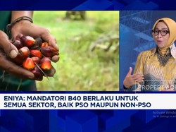 Video: Genjot Produksi B40 hingga 15 Juta Kilo Liter, Insentif Ditebar