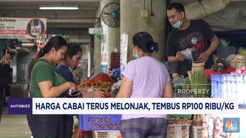 Video : Harga Cabai Terus Melonjak, Tembus Rp100 Ribu/Kg