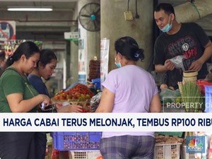 Video : Harga Cabai Terus Melonjak, Tembus Rp100 Ribu/Kg