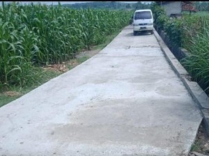 Nasib Kampung Miliarder Tuban, Dulu Heboh Kini Ngenes