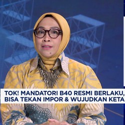 RI Sudah Mampu Tekan Impor Solar 4,5 Juta KL di 2024, Karena Ini..