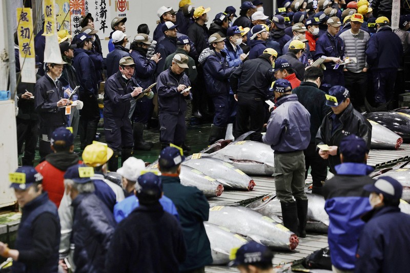 Seekor tuna sirip biru seberat 276 kilogram yang dilelang seharga 207 juta yen Jepang (sekitar 1,3 juta dolar AS), yang dibeli bersama oleh operator restoran sushi Onodera Group dan pedagang grosir Yamayuki, dibawa ke restoran sushi Onodera setelah pelelangan tuna pertama Tahun Baru di Tokyo, Jepang, 5 Januari 2025. Seekor tuna sirip biru seberat 276 kilogram yang dilelang seharga 207 juta yen Jepang (sekitar 1,3 juta dolar AS), yang dibeli bersama oleh operator restoran sushi Onodera Group dan pedagang grosir Yamayuki, dibawa ke restoran sushi Onodera setelah pelelangan tuna pertama Tahun Baru di Tokyo, Jepang, 5 Januari 2025. (REUTERS/Issei Kato)