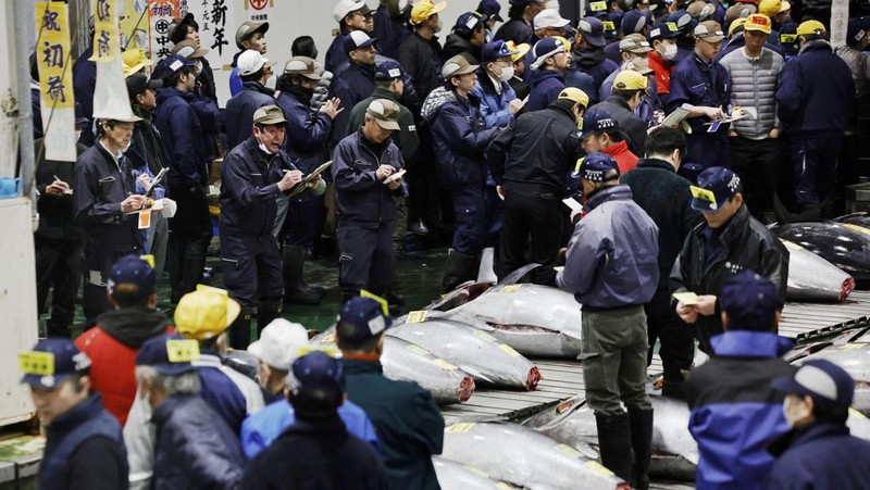 Seekor tuna sirip biru seberat 276 kilogram yang dilelang seharga 207 juta yen Jepang (sekitar 1,3 juta dolar AS), yang dibeli bersama oleh operator restoran sushi Onodera Group dan pedagang grosir Yamayuki, dibawa ke restoran sushi Onodera setelah pelelangan tuna pertama Tahun Baru di Tokyo, Jepang, 5 Januari 2025. (REUTERS/Issei Kato)