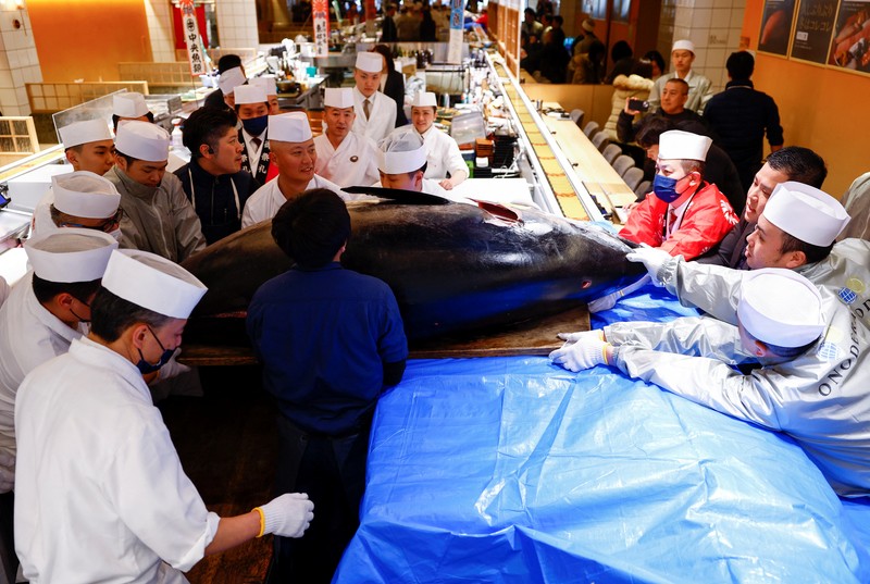 Seekor tuna sirip biru seberat 276 kilogram yang dilelang seharga 207 juta yen Jepang (sekitar 1,3 juta dolar AS), yang dibeli bersama oleh operator restoran sushi Onodera Group dan pedagang grosir Yamayuki, dibawa ke restoran sushi Onodera setelah pelelangan tuna pertama Tahun Baru di Tokyo, Jepang, 5 Januari 2025. Seekor tuna sirip biru seberat 276 kilogram yang dilelang seharga 207 juta yen Jepang (sekitar 1,3 juta dolar AS), yang dibeli bersama oleh operator restoran sushi Onodera Group dan pedagang grosir Yamayuki, dibawa ke restoran sushi Onodera setelah pelelangan tuna pertama Tahun Baru di Tokyo, Jepang, 5 Januari 2025. (REUTERS/Issei Kato)