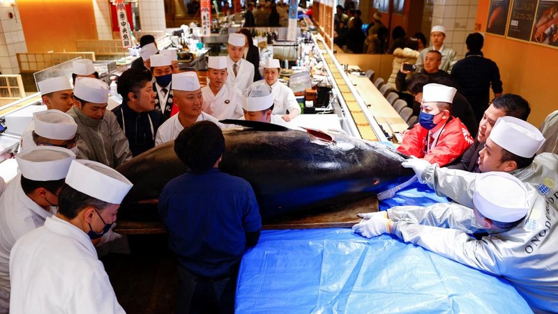 Seekor tuna sirip biru seberat 276 kilogram yang dilelang seharga 207 juta yen Jepang (sekitar 1,3 juta dolar AS), yang dibeli bersama oleh operator restoran sushi Onodera Group dan pedagang grosir Yamayuki, dibawa ke restoran sushi Onodera setelah pelelangan tuna pertama Tahun Baru di Tokyo, Jepang, 5 Januari 2025. (REUTERS/Issei Kato)