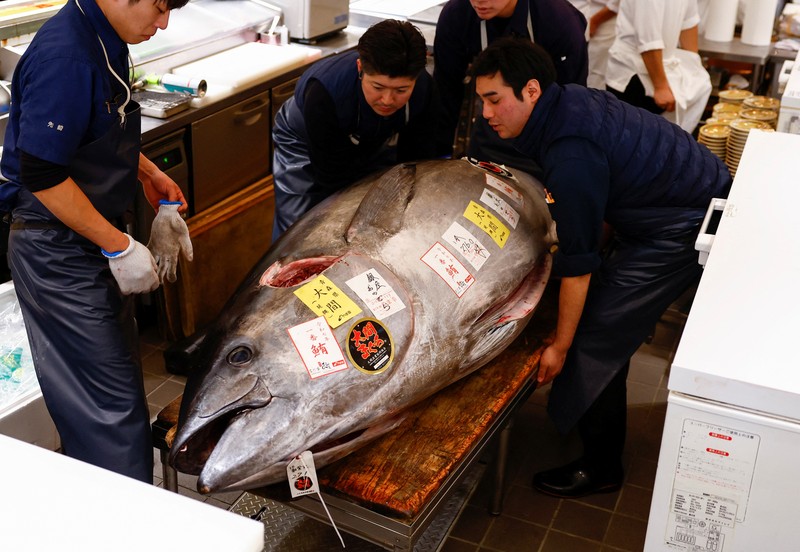 Seekor tuna sirip biru seberat 276 kilogram yang dilelang seharga 207 juta yen Jepang (sekitar 1,3 juta dolar AS), yang dibeli bersama oleh operator restoran sushi Onodera Group dan pedagang grosir Yamayuki, dibawa ke restoran sushi Onodera setelah pelelangan tuna pertama Tahun Baru di Tokyo, Jepang, 5 Januari 2025. Seekor tuna sirip biru seberat 276 kilogram yang dilelang seharga 207 juta yen Jepang (sekitar 1,3 juta dolar AS), yang dibeli bersama oleh operator restoran sushi Onodera Group dan pedagang grosir Yamayuki, dibawa ke restoran sushi Onodera setelah pelelangan tuna pertama Tahun Baru di Tokyo, Jepang, 5 Januari 2025. (REUTERS/Issei Kato)