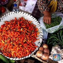 Harga Cabai 