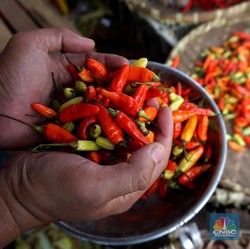 Diam-Diam Pasokan Cabai ke Jakarta