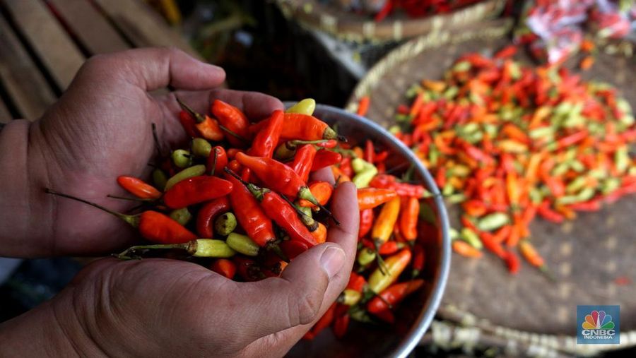Sejumlah warga membeli cabai di Pasar Minggu, Jakarta, Selasa (7/01/2025). (CNBC Indonesia/Muhammad Sabki)