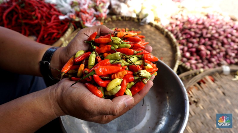 Sejumlah warga membeli cabai di Pasar Minggu, Jakarta, Selasa (7/01/2025). (CNBC Indonesia/Muhammad Sabki)