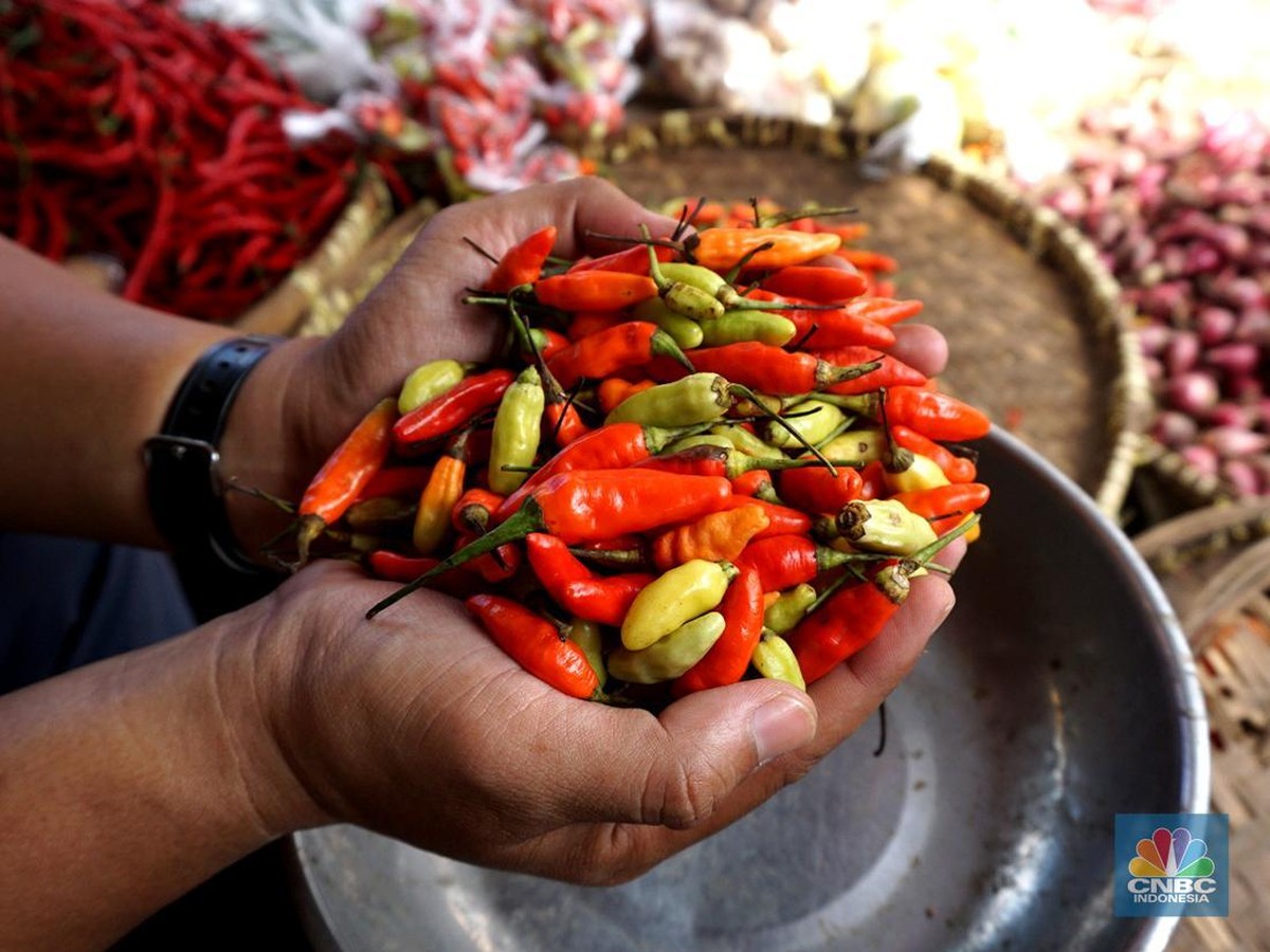 Lonjakan Harga Cabai dan Pangan Jelang Idul Fitri, Masyarakat Harus Waspada