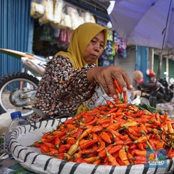 RI Deflasi Lagi Setelah 25 Tahun, Ini yang Sebenarnya Terjadi