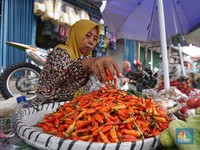 Di Jakarta Naik Gila-gilaan, Harga Cabai di Sini Cuma Rp12.500/kg