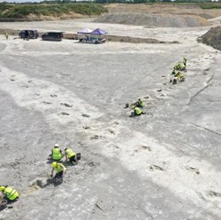 Bekas 'Jalan Tol' Dinosaurus Ditemukan, Buktinya Terlihat Jelas