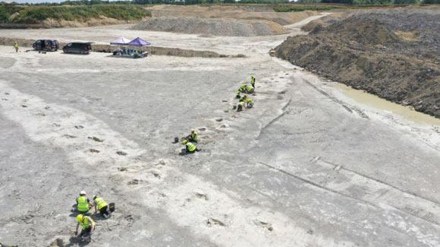 Jejak dinosaurus karnivora dan herbivora di Dewars Farm Quarry di Oxfordshire, Inggris Raya. (Dok. University of Birmingham)