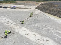 Bekas 'Jalan Tol' Dinosaurus Ditemukan, Buktinya Terlihat Jelas