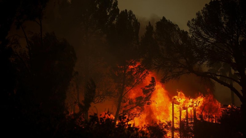 Asap mengepul dari kebakaran hutan yang terjadi di dekat Pacific Palisades di sisi barat Los Angeles selama badai angin yang disebabkan cuaca buruk, di Los Angeles, California, 7 Januari 2025. (REUTERS/Daniel Cole)