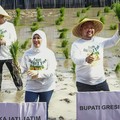 Momen Kajati Jatim Hadiri Program Jaksa Sahabat Tani di Gresik