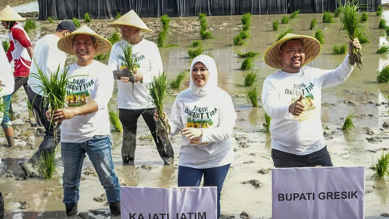 Kepala Kejaksaan Tinggi Jawa Timur Mia Amiati menghadiri acara tanam padi dalam rangka kegiatan Jaksa Sahabat Tani di Gresik, Jatim, Rabu (8/1/2025). (Dok. Kejaksaan Tinggi Jawa Timur)