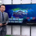 Video:  Indonesia Gabung BRICS, Untung Atau Buntung?