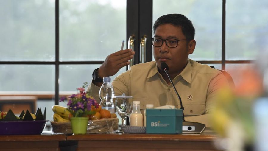 Wamentan Sudaryono. (Dok. Kementan)