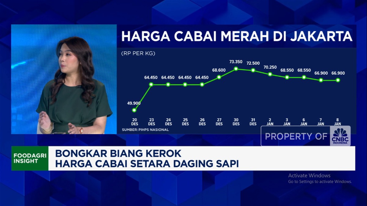 Terungkap! Penyebab Kenaikan Harga Cabai yang Bikin Dompet Menjerit, Setara Daging Sapi!