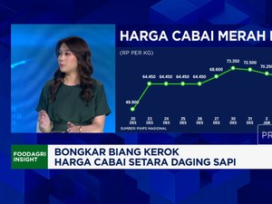 Video: Biang Kerok Harga Cabai Meroket Setara Daging Sapi!