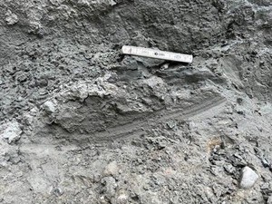Metode Baru Ilmuwan untuk Prediksi Gempa Bumi