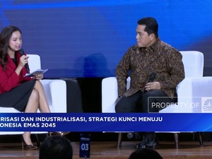 Video: Dorong Hilirisasi, Menteri BUMN Buka Peluang Partnership