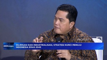 Video: Erick Thohir Tegaskan Tambang Ilegal Harus Diberantas!