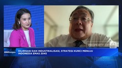 Video: Izin, Masalah RI Gaet Investasi Perusahaan Teknologi Raksasa