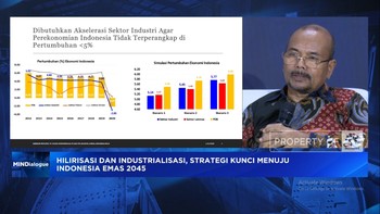 Video:Mau Jadi Negara Maju, RI Wajib Hapus Penghambat Industrialisasi