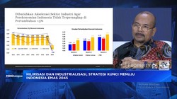 Video:Mau Jadi Negara Maju, RI Wajib Hapus Penghambat Industrialisasi