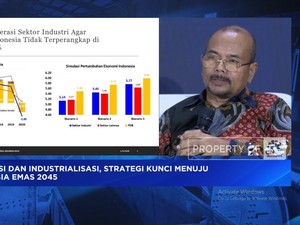 Video:Mau Jadi Negara Maju, RI Wajib Hapus Penghambat Industrialisasi