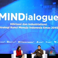 Ada Mega Proyek Ini, RI Bisa Tekan Impor Alumina di 2025