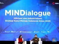 Ada Mega Proyek Ini, RI Bisa Tekan Impor Alumina di 2025