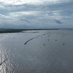 Menteri ATR Sebut Ada Sertifikat Berseliweran di Kawasan Pagar Laut