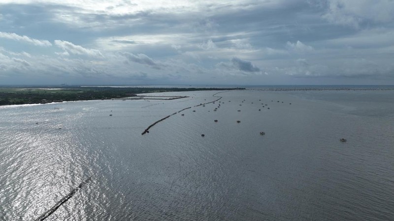 Penampakan pagar laut di pesisir Tangerang, Banten. (Dok. KKP)