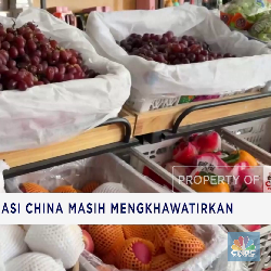 Video : Penerimaan Pajak RI Buruk - Bunga KPR AS di Level Tertinggi