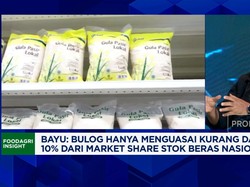 Video: RI Mau Swasembada Pangan, Bulog Harus "Kuasai" Stok-Beras Cs